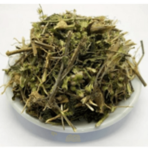 ERVA SAO JOAO FOLHAS